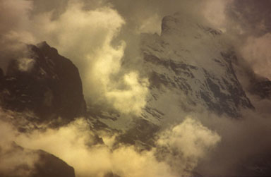 Copyright Roger Creber