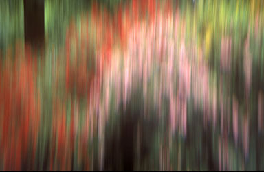 Copyright Roger Creber