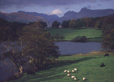 Loughrigg Tarn and Langdale Pikes, Lake District