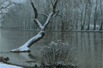 Winter by the River Thames, West Molesey, Surrey, England, UK