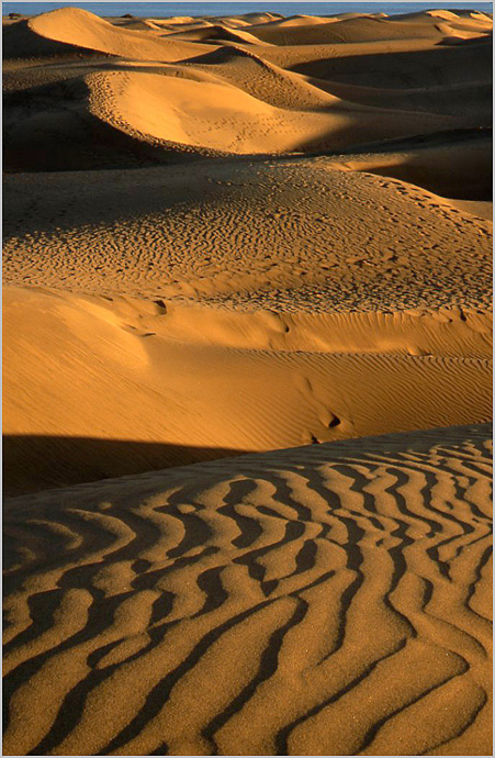 DPAGB 08 Dune Light