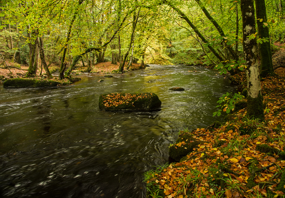 Devon Autumn by the River Teign 4
