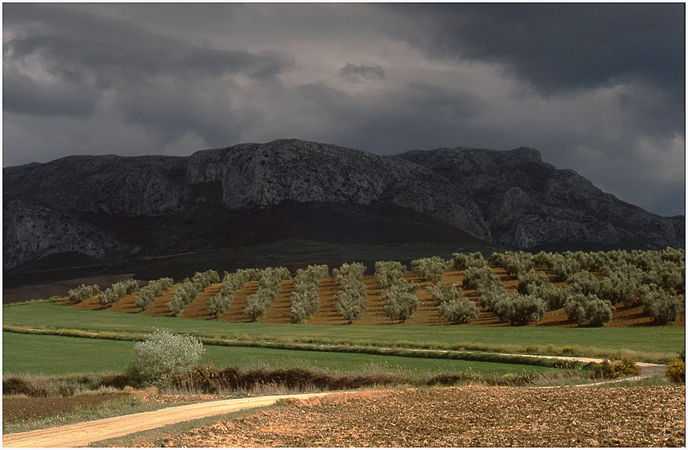 The Road to Ortegicar, Andalucia 