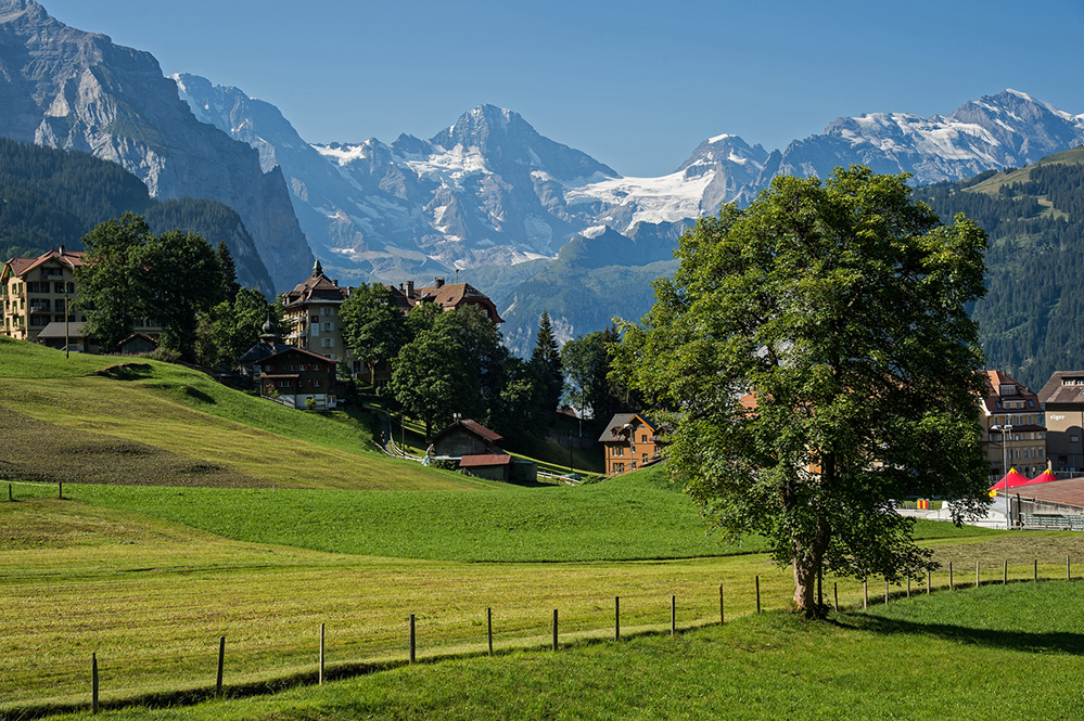View from Wengen 1 