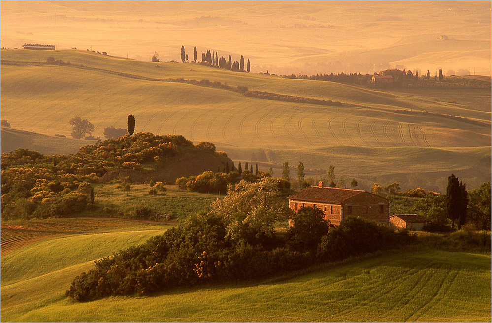 Early Morning in Val d'Orcia 